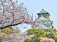 【德甲前瞻·群雄】大首都崛起，沙尔克变汉堡？